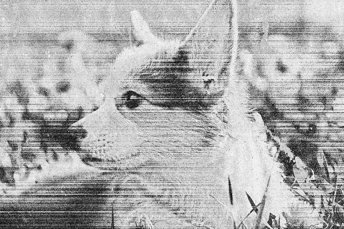Flickering Print Photo Effect, a Layer Style Add-On by dokudokunomi (Photo 2 of 4)