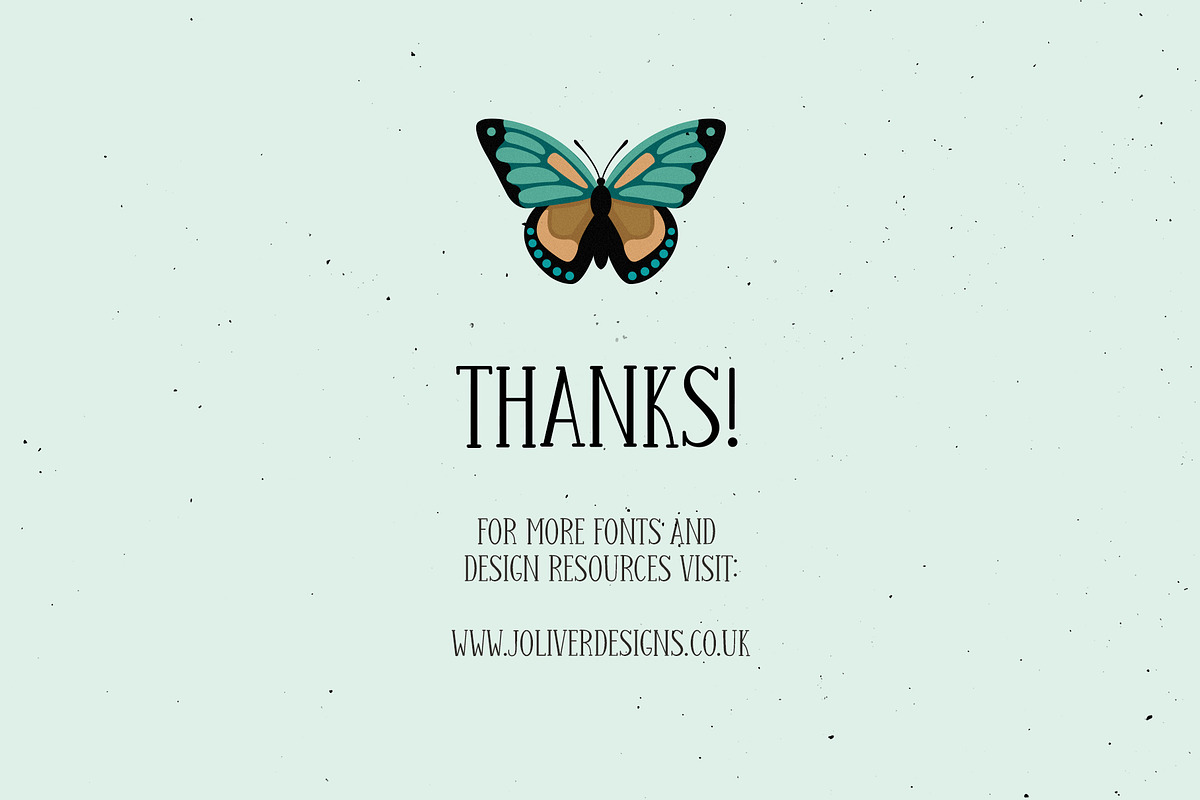 Curious Entomology Collection, an Animal Illustration by Cosy Fox (Photo 8 of 9)