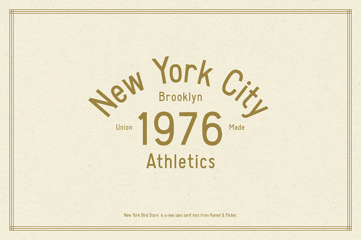 New York Bird Store, a Sans Serif Font by Komet & Flicker (Photo 4 of 13)