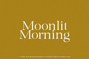 Hikari - Elegant & Modern Serif, a Serif Font by Mikhail Fukurou (Thumbnail 2 of 11)