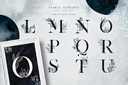 Lunare. Mysterious Graphic Set, an Animal Illustration by Muse Artist (Thumbnail 7 of 16)