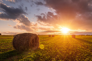 Scenic sunset over hay bales in a field. Golden light bathes the, a Nature Photo by Eugene_Photo