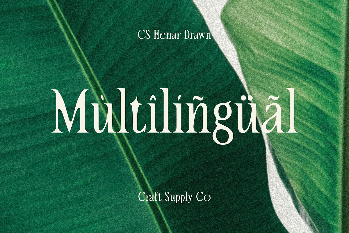 CS Henar Drawn, a Serif Font by Craft Supply Co. (Photo 7 of 8)