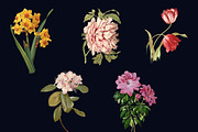 5x Isolated Flower Illustration (01), an Object Graphic by Europe.graphics (Thumbnail 7 of 7)