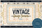 Ornamental Vintage Design Elements, a Brush Add-On by Eclectic Anthology (Thumbnail 1 of 5)