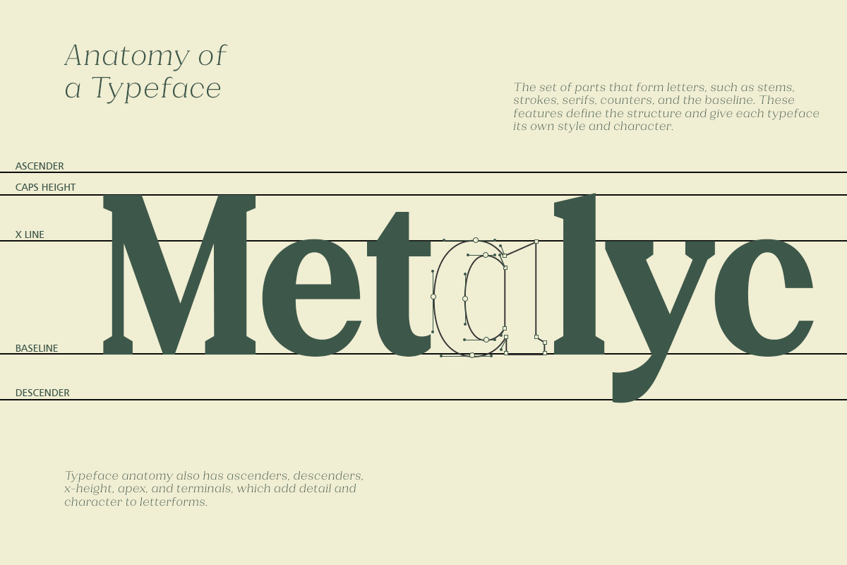 Gegisa - (54 Font Family), a Serif Font by Rotterlab Studio (Photo 8 of 10)