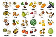 Vector food: vegetables and fruits, a Food Illustration by irina.vaneeva (Thumbnail 5 of 16)