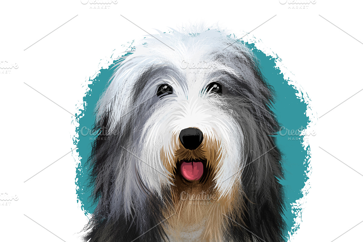 Most Popular Dog Breeds Pet Portrait, an Animal Illustration by Dneprstock (Photo 3 of 23)