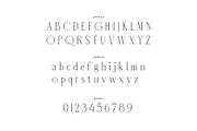Listian, a Serif Font by rmdndsign (Thumbnail 7 of 9)