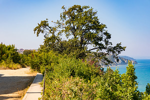 Scenic coastal pathway bordered by lush greenery overlooking clear blue sea and, a Nature Photo by Ales Munt