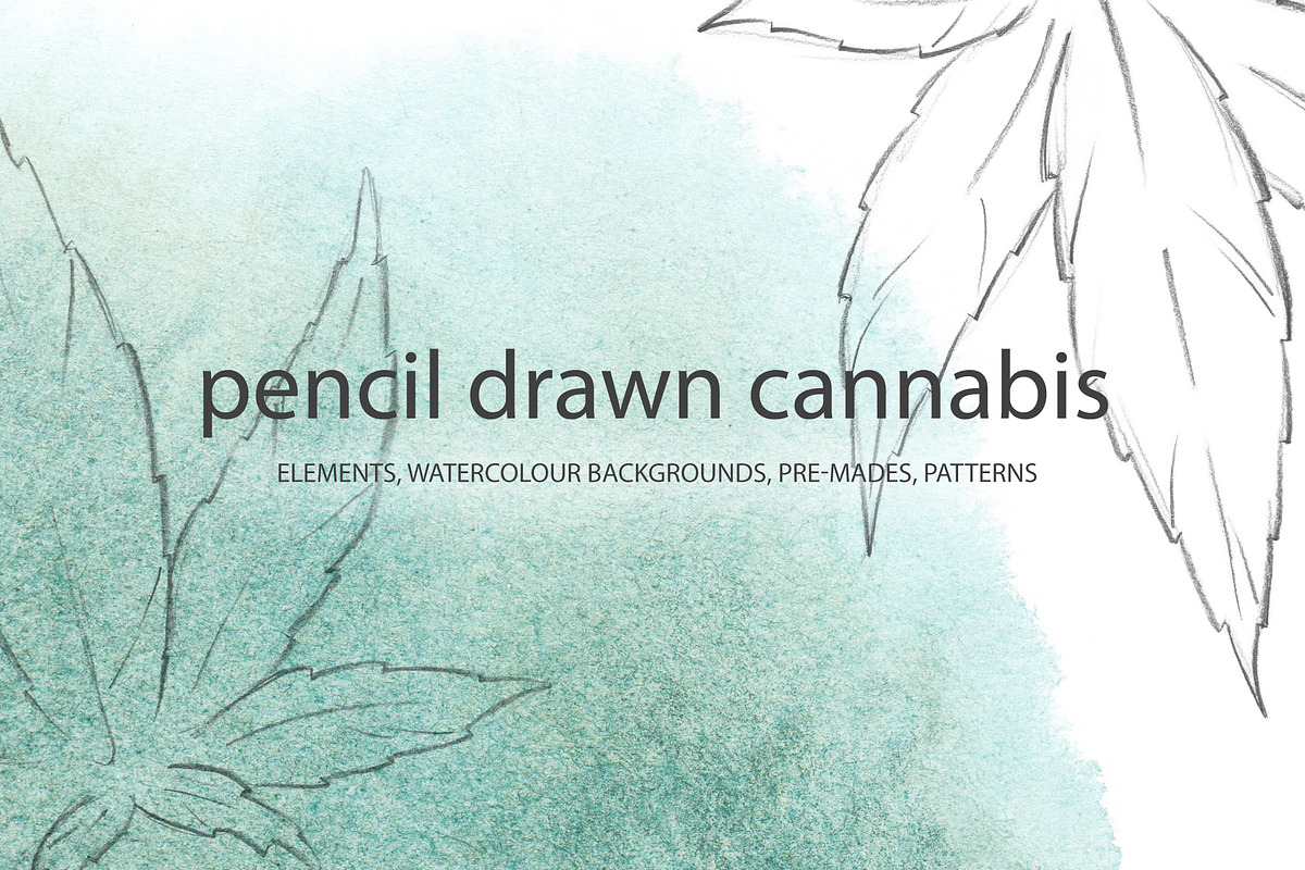 Pencil drawn cannabis, a Healthcare Illustration by AlenaO (Photo 1 of 9)