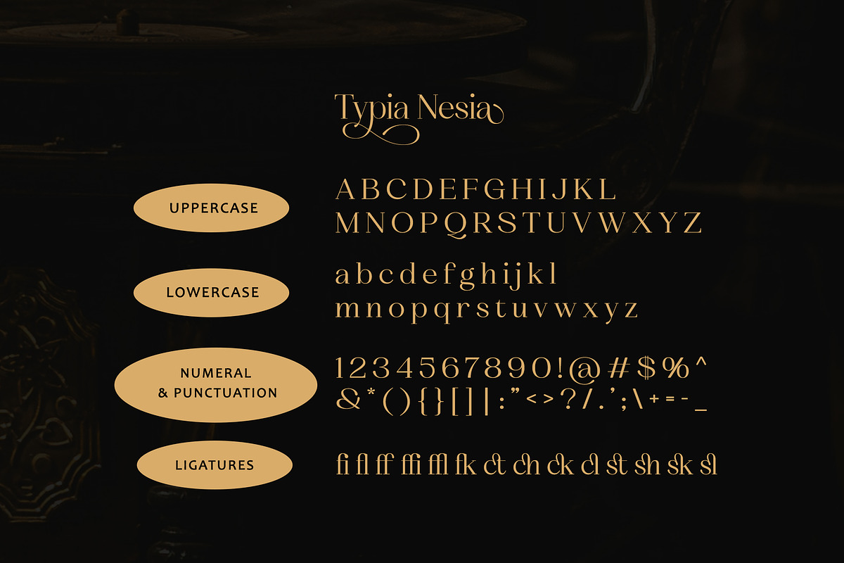 Qanducia Serif, a Serif Font by Typia Nesia (Photo 10 of 10)