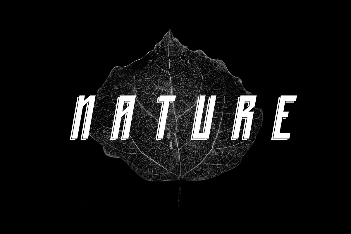 Emperor - Display Typeface preview 3
