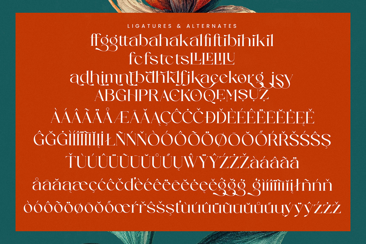 Strikes Against Modern Serif Font, a Serif Font by timelesstype.co (Photo 18 of 20)