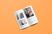 DL Brochure Mockup, a Books & Magazine Mockup by Lxadesign (Thumbnail 8 of 12)