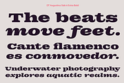DT Augustina Slab 6 Subfamily, a Slab Serif Font by Deveze Type Foundry (Thumbnail 16 of 30)