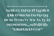 Vittasoa – Modern Display Typeface, a Serif Font by Almarkhatype (Thumbnail 13 of 15)