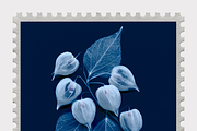 Lupa Co · Cyanotype Botanical Stamps, a Texture Illustration by milatovar (Thumbnail 9 of 18)