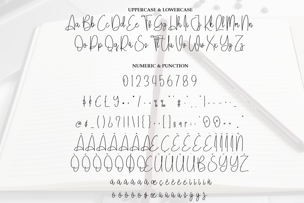Saturday | Script Font preview 7