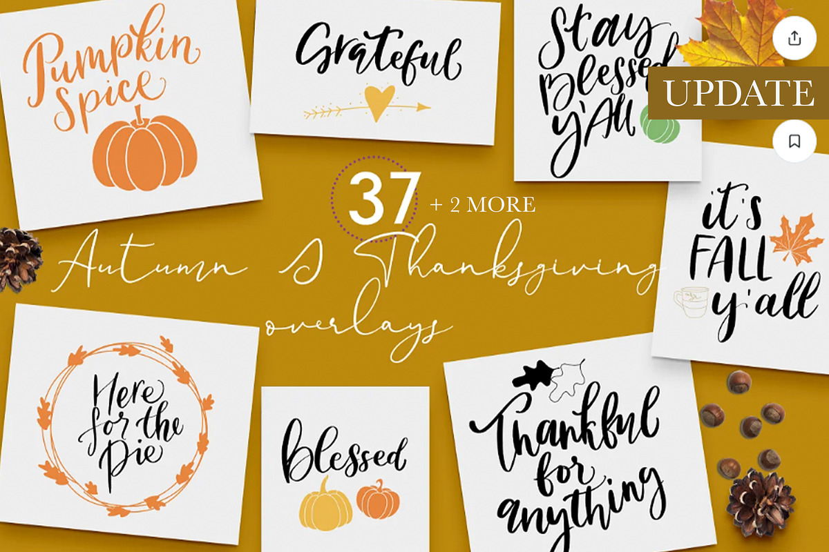 Autumn lettering and illustrations, an Illustration by Art pages (Photo 1 of 13)