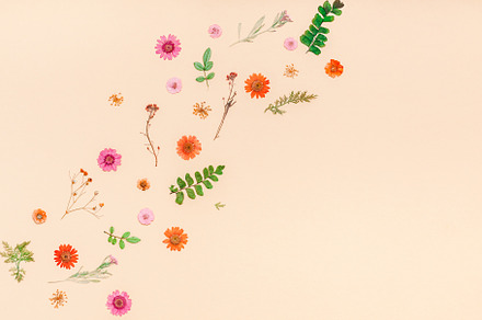Frame made of dried flowers and leaves, a Holiday Photo by Dvoevnore photos