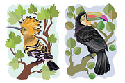 Bird vector set, an Illustration by Kopirin (Thumbnail 3 of 8)