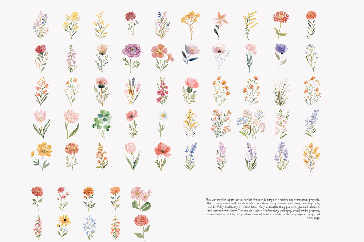 watercolor floral clipart set, a Decorative Illustration by Patishop Art (Photo 9 of 10)