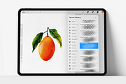 Procreate Realistic Fruit Texture, a Brush Add-On by HopeArtIllustration (Thumbnail 2 of 9)