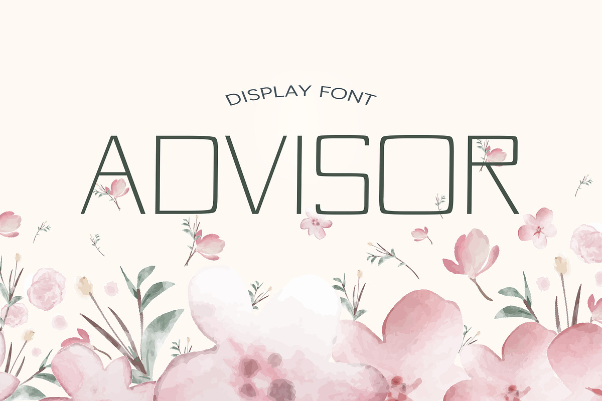Advisor Summer Font