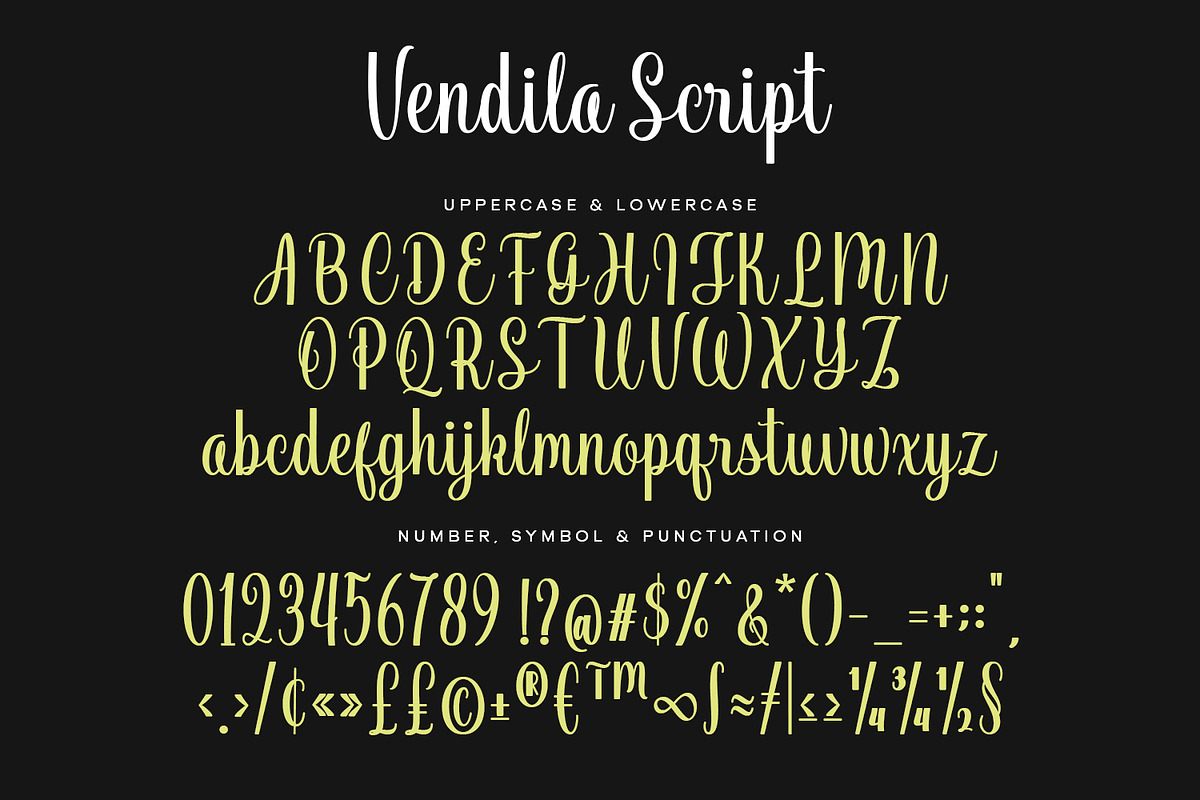 Vendila Script Font, a Script Font by Siwox Studios (Photo 6 of 8)