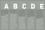 Compasse, a Sans Serif Font by Dharma Type (Thumbnail 9 of 10)