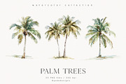 Palm Trees, a Decorative Illustration by PeDe Designs (Thumbnail 2 of 9)