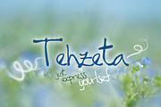 TEHZETA font (commercial use), a Font by Melissa Thereliz (Thumbnail 1 of 3)