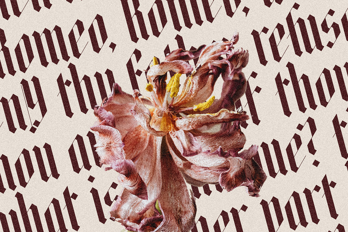Rymaki - Modern Blackletter Font, a Blackletter Font by SilverStag Type Foundry (Photo 16 of 30)