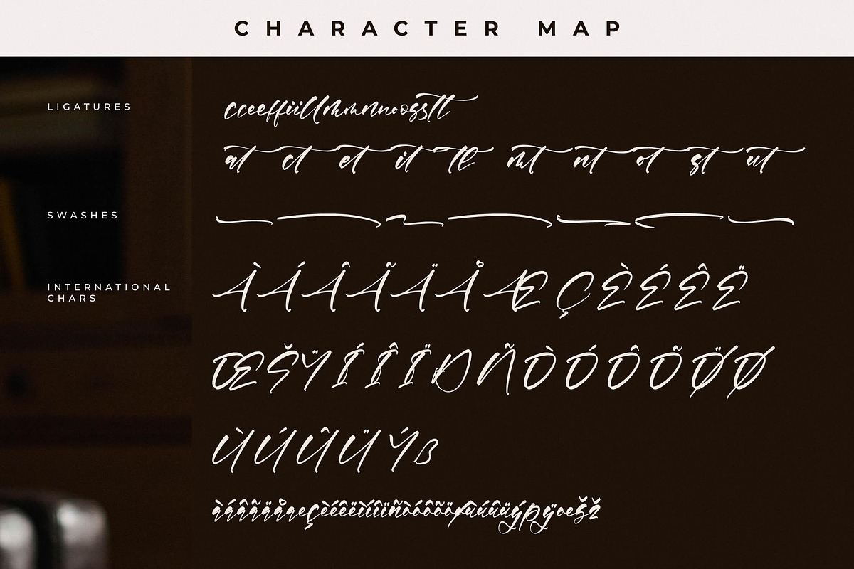 Rosetwood Adorattion Modern Script, a Script Font by Letterena Studios Script (Photo 14 of 15)