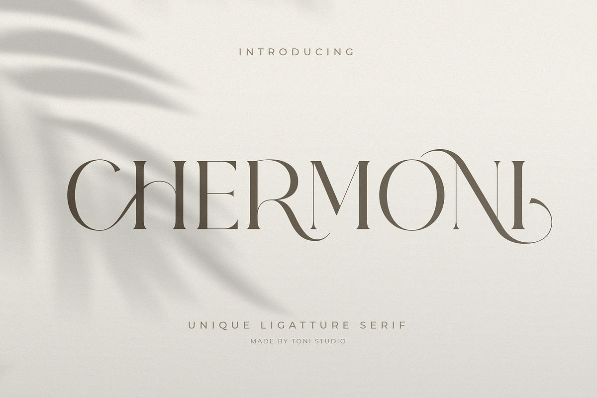 CHERMONI, a Serif Font by ToniStudio (Photo 1 of 8)