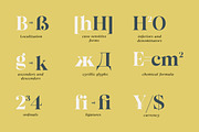 Almero Serif Family, a Serif Font by Zane Studio (Thumbnail 9 of 11)