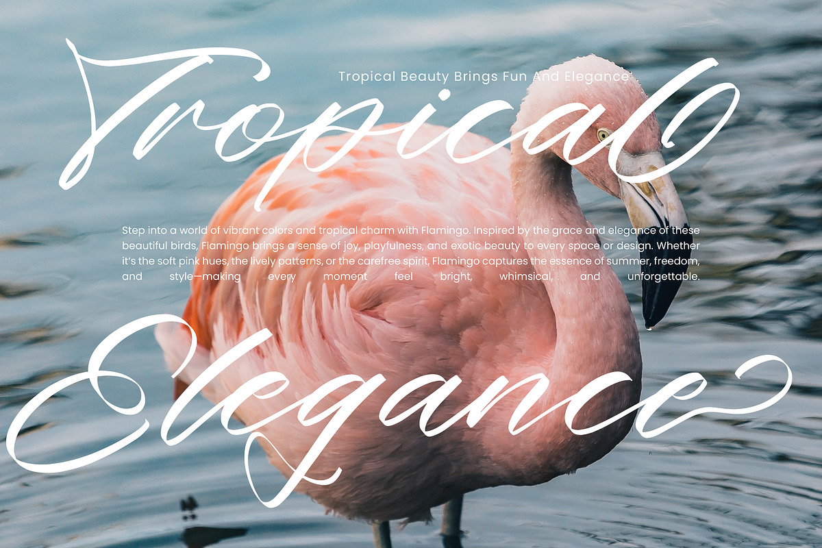 Butter Whisk Modern Signature, a Handwritten Font by operatype.co (Photo 8 of 15)