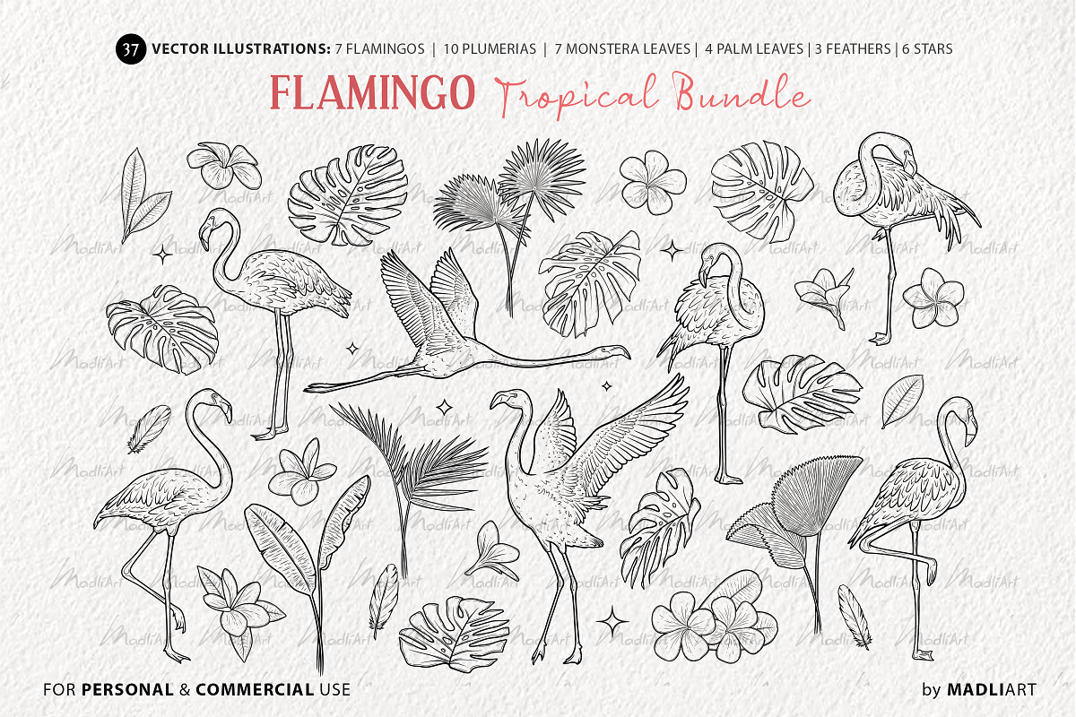 Tropical Flamingo Vector Line Art, an Animal Illustration by MadliArt (Photo 3 of 4)
