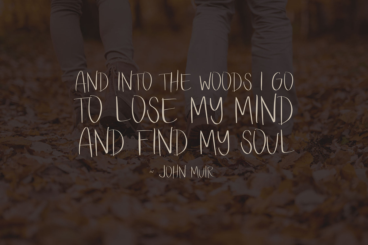 Walk in the Woods Open Type SVG, a Handwritten Font by Jodi Van der Kruik (Photo 3 of 5)