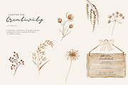 autumn woodland clipart collection, a Decorative Illustration by Patishop Art (Thumbnail 8 of 9)