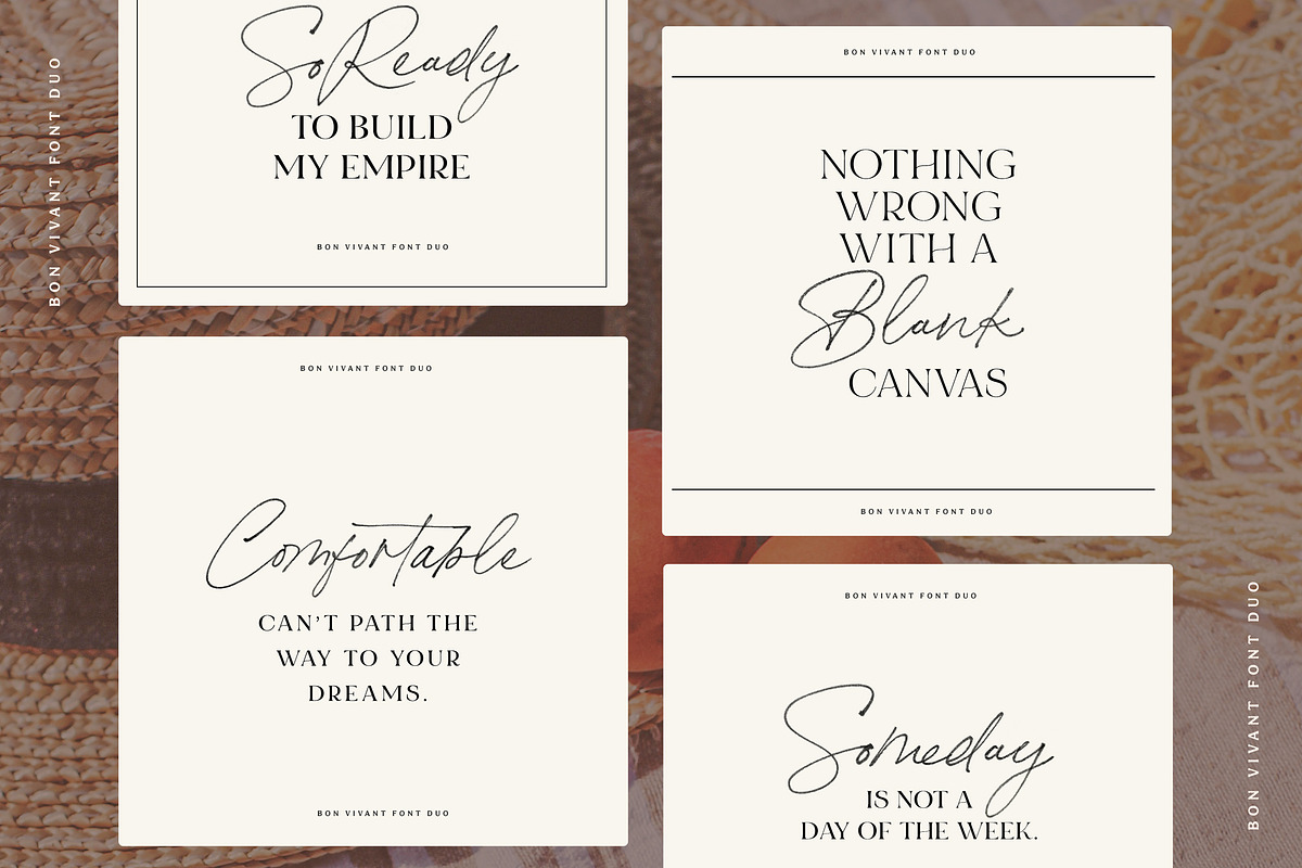 Bon Vivant Collection, a Serif Font by Nicky Laatz (Photo 17 of 44)