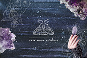 Deep Night Forest graphic kit., an Illustration by Dinkoobraz (Thumbnail 3 of 17)