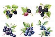 Watercolor Berry Clipart, Strawberry, a Food Illustration by BrushstrokeArtGB (Thumbnail 4 of 9)