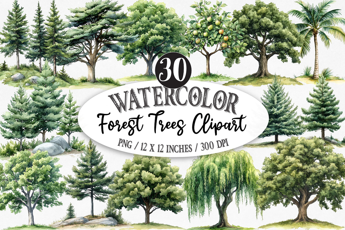 Watercolor Forest Trees Clipart, an Illustration by Designking (Photo 1 of 5)