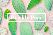 Prickly Pear Cactus & Succulents, an Object Graphic by Fox & Bear (Thumbnail 1 of 6)