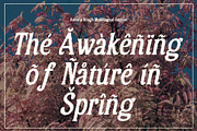 Asvoria Rough, a Serif Font by Craft Supply Co. (Thumbnail 7 of 8)