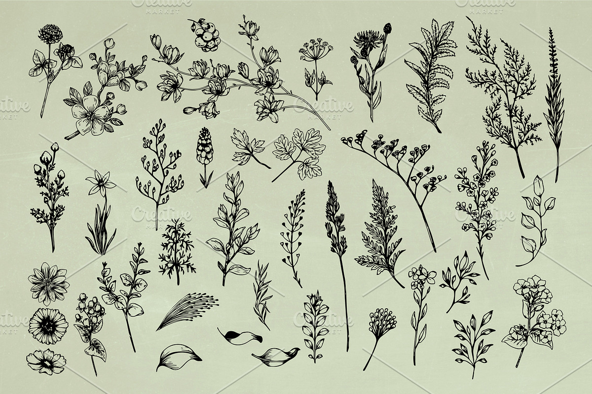 Vintage Herbs & Flowers mega set, an Object Illustration by Garden in frame (Photo 4 of 8)