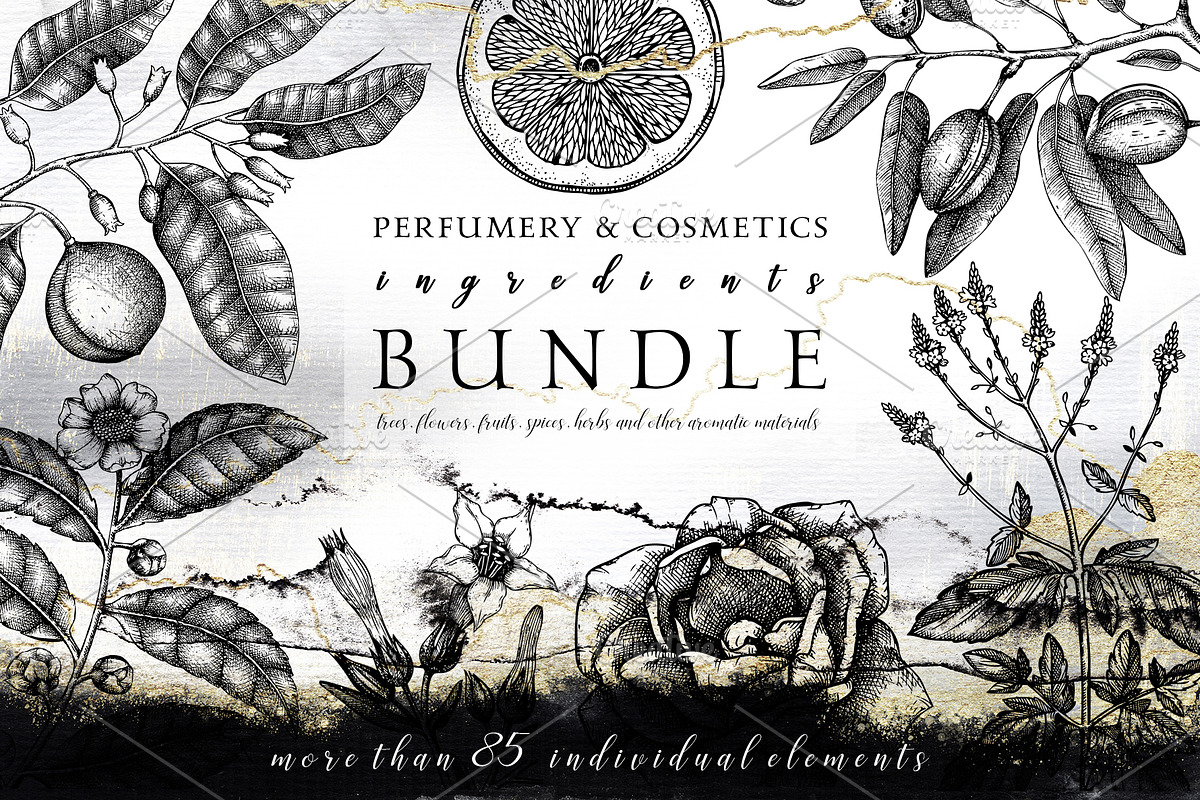 Floral Aromatic Vector Illustrations, an Object Graphic by Yevheniia (Photo 1 of 7)