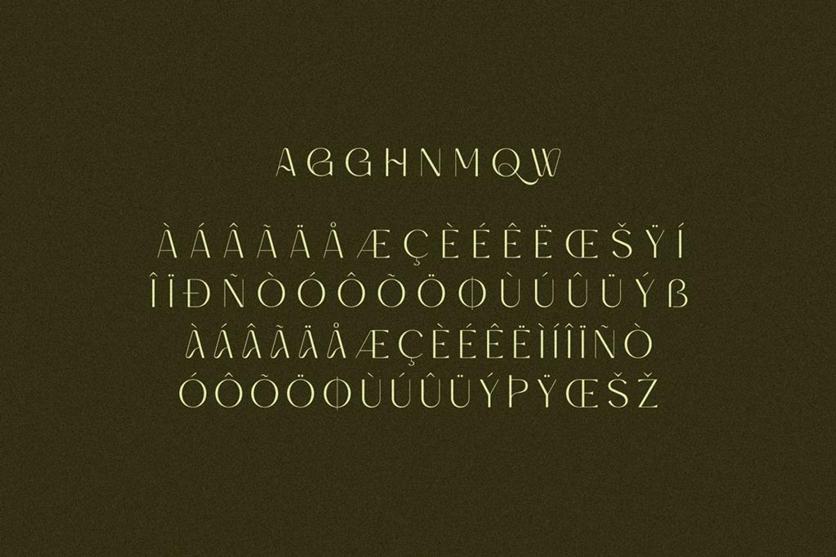 Gaqire Stylish Display Typeface, a Sans Serif Font by Storytype Studio (Photo 13 of 14)